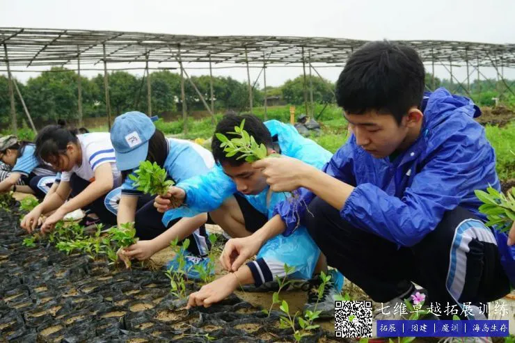 如何提高篮球罚球命中率?_1
