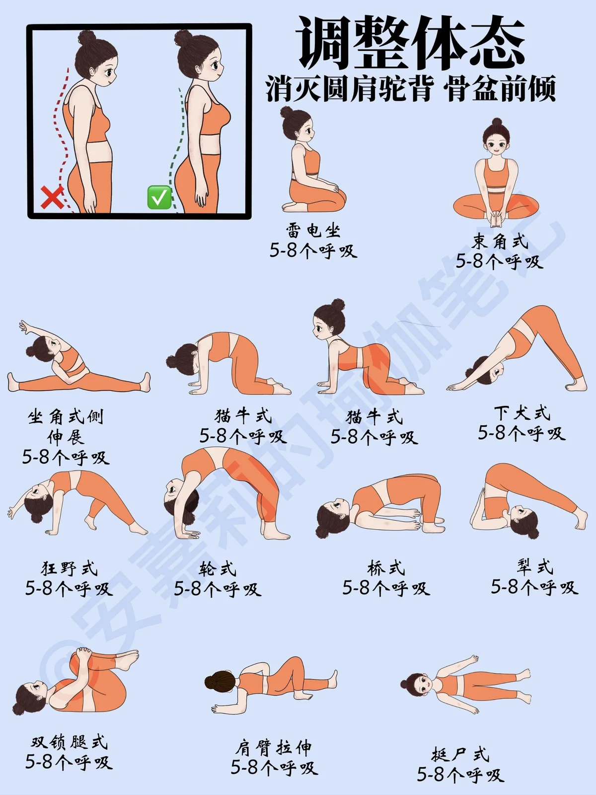 哪里可以找到篮球训练的模范案例_0